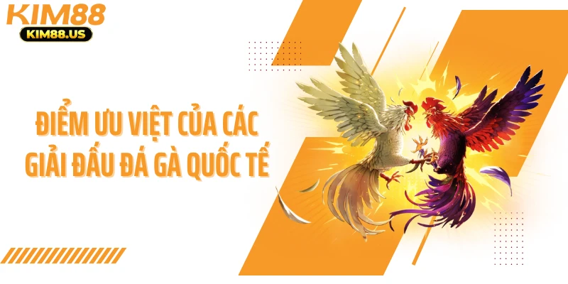 Điểm ưu việt của các giải đấu đá gà quốc tế