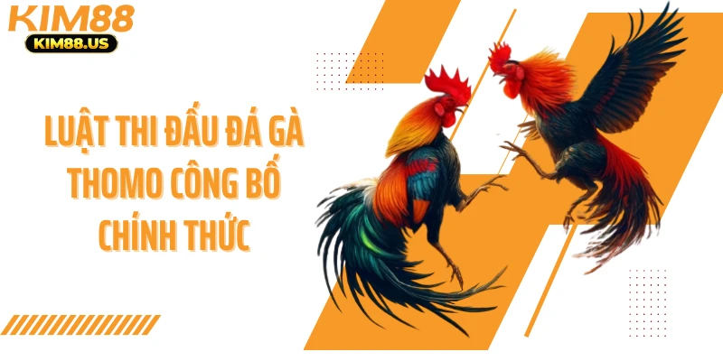 Luật thi đấu đá gà thomo công bố chính thức