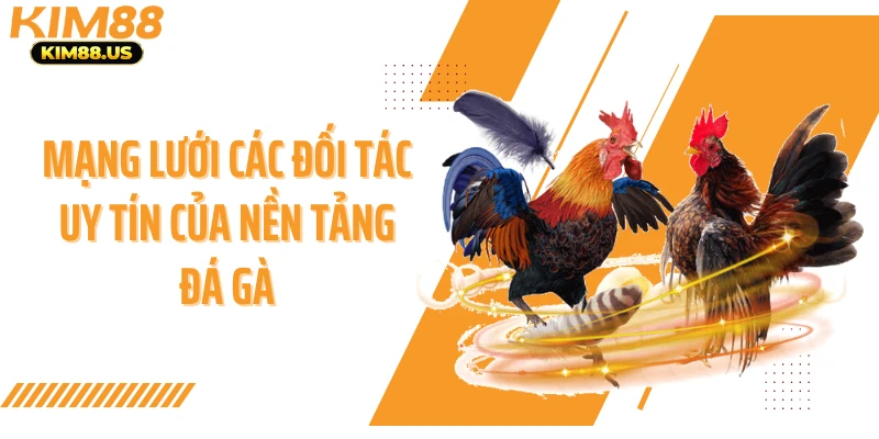 Mạng lưới các đối tác uy tín của nền tảng đá gà