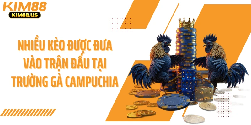 Nhiều kèo được đưa vào trận đấu tại trường gà campuchia