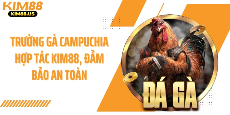 Trường gà campuchia hợp tác KIM88, đảm bảo an toàn
